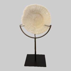 Nanami Artisan Crafted Cream White Nature Sculpture with Stand